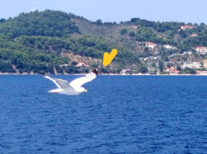 Villa Bloom, Skiathos